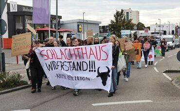 Demo gegen die Wiedereröffnung durch die Backnanger Innenstadt - Tierschützer demonstieren gegen Wiedereröffnung von Metzgerei K