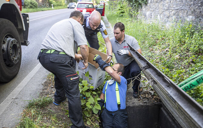 Entenrettung aus dem Wasserschacht: Polizei und Feuerwehr retten kleine Baby Entchen mit Kran und Druckerkarton