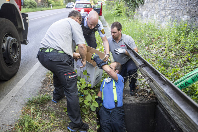 Entenrettung aus dem Wasserschacht: Polizei und Feuerwehr retten kleine Baby Entchen mit Kran und Druckerkarton