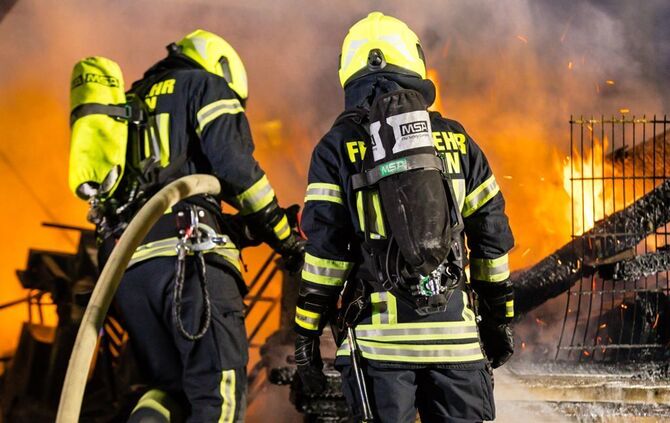 Brand Birkenweißbuch
