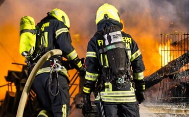 Brand Birkenweißbuch