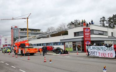 Festnahme durch SEK: Protest gegen Schlachtbetrieb eskaliert - Mehrere Personen demonstrieren gegen Wiedereröffnung - Mehrere De