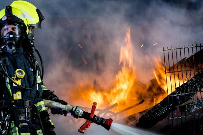 Brand Birkenweißbuch