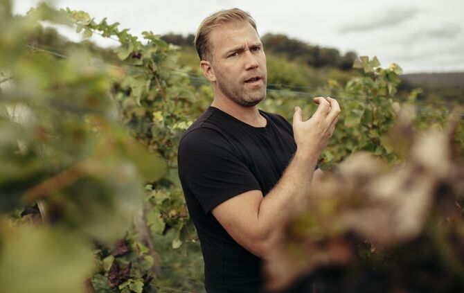 Leon Gold, Gundelsbach