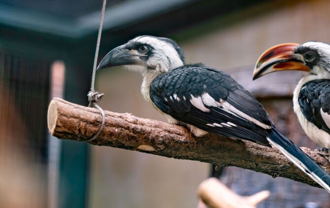 KW46c von der Decken Toko 17.11.2023 Bild 2