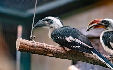 KW46c von der Decken Toko 17.11.2023 Bild 2