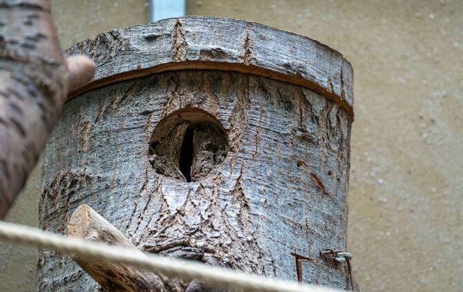 KW46c von der Decken Toko 17.11.2023 Bild 5