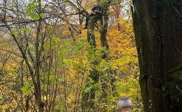fw-stuttgart-hund-aus-acht-metern-h-he-gerettet