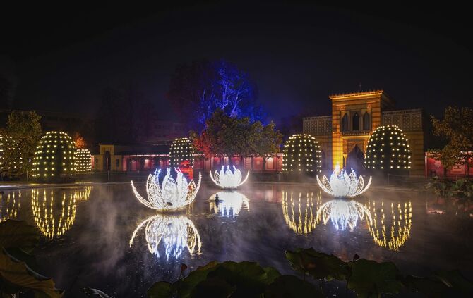 Wilhelma Christmas Garden