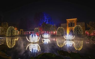 Wilhelma Christmas Garden