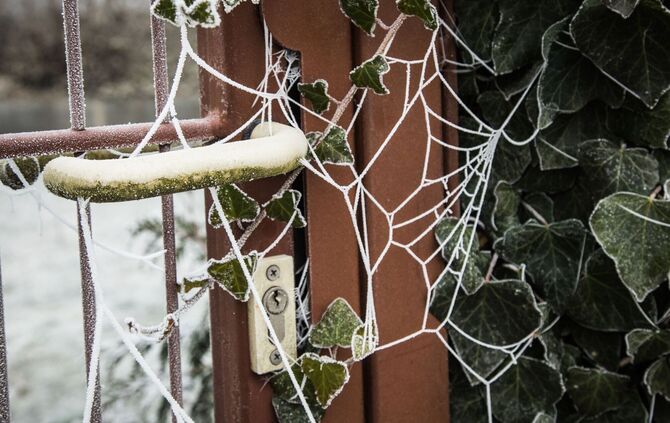 Im Winter gibt es im Garten vergleichsweise wenig zu erledigen.