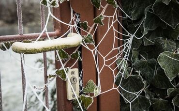 Im Winter gibt es im Garten vergleichsweise wenig zu erledigen.