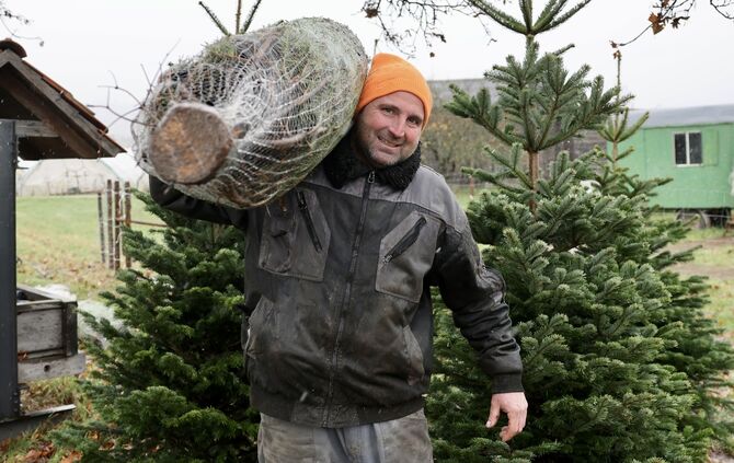 Christbaum