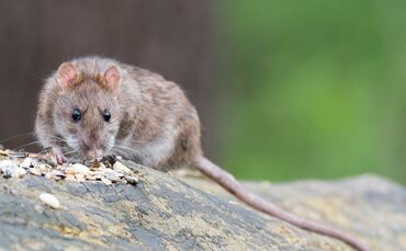 b1238e43-c9de-454d-b979-a015045ff29a.jpg_0