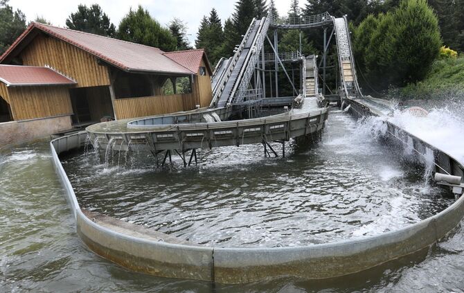 Schwaben Park Kroko Splash Schwabenpark Kaisersbach_0