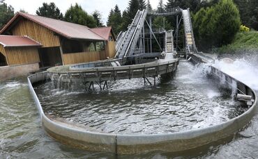 Schwaben Park Kroko Splash Schwabenpark Kaisersbach_0