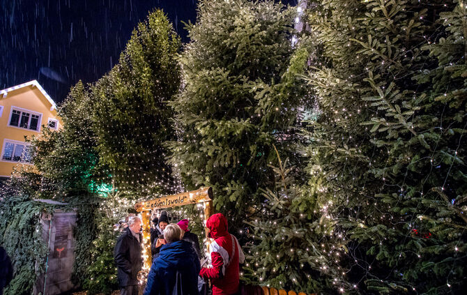 Adventswald Rudersberg eröffnet, 01.12.2023.