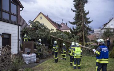 Sturm Sabine Tanne Haus Winterbach_0