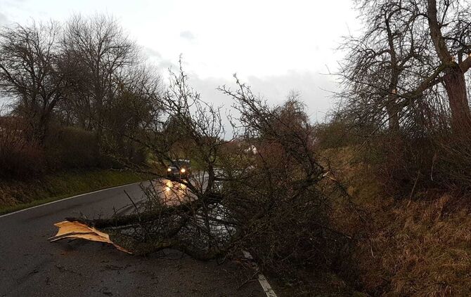 Sturm Sabine 10.2.2020_9