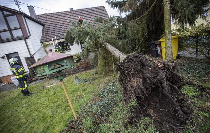 Sturm Sabine Tanne Haus Winterbach_15