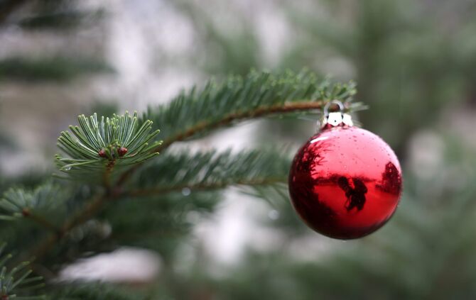 Weihnachtsbaum Pfleiderer