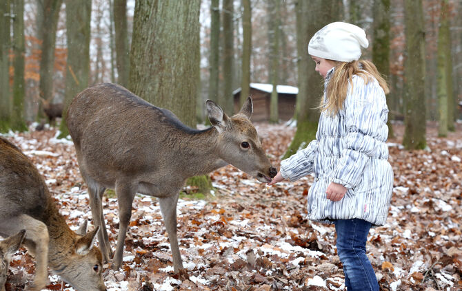 Wildparadies_Tripsdrill_Fuettern__Winter__RS