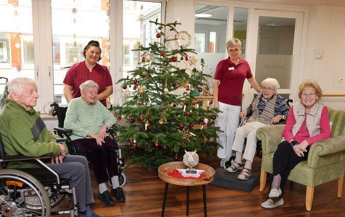 Weihnachten Schelmenholz