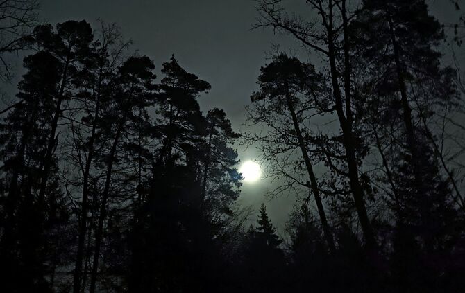 IMG_20231227_190119a