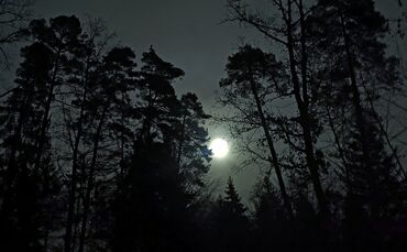 IMG_20231227_190119a