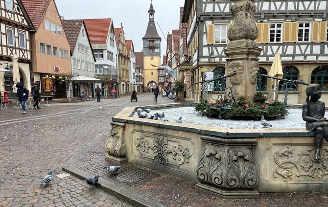 Tauben Marktbrunnen