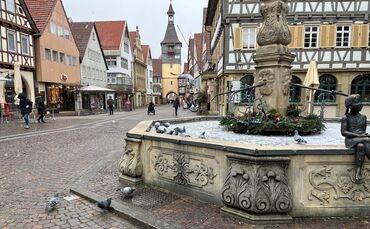 Tauben Marktbrunnen