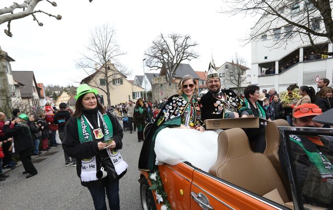 Faschingsumzug - Bild 11_10