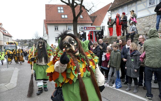 Faschingsumzug - Bild 20_19