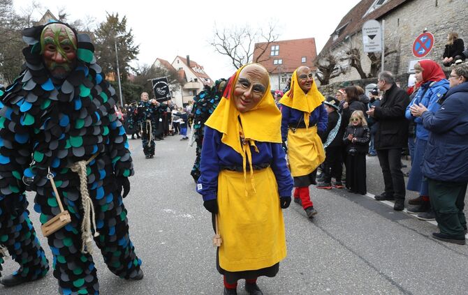 Faschingsumzug - Bild 35_34