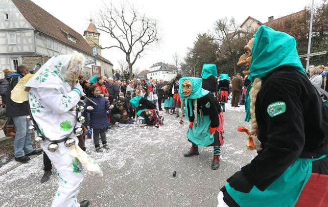 Faschingsumzug - Bild 42_41
