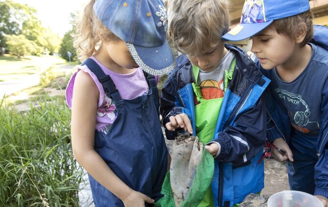 Kinder erkunden bei der fbs den Bach