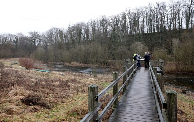 Ausgleichsmaßnahmen