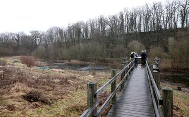 Ausgleichsmaßnahmen