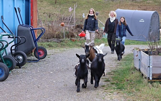 Jugendfarm