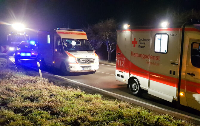 Mehrere Personen bei Frontalzusammenstoß verletzt - Bild 04_11