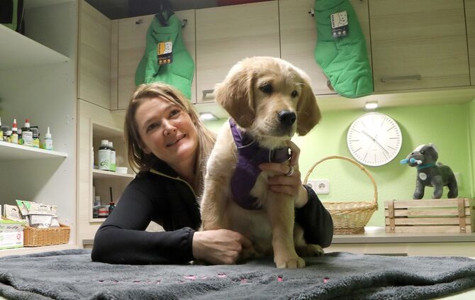 9b114686-ec3b-474f-81ee-477bfbf57e73.jpg_0