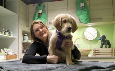 9b114686-ec3b-474f-81ee-477bfbf57e73.jpg_0