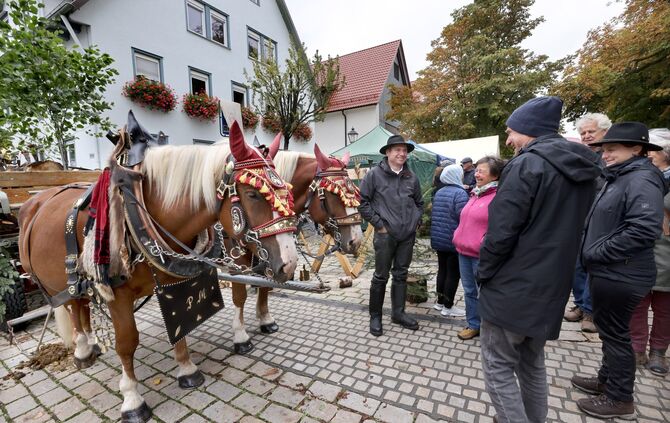Bauernmarkt