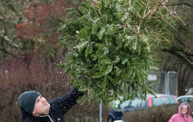 Christbaumweitwurf in Schwaikheim_20