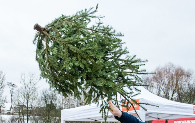 Christbaumweitwurf in Schwaikheim_32