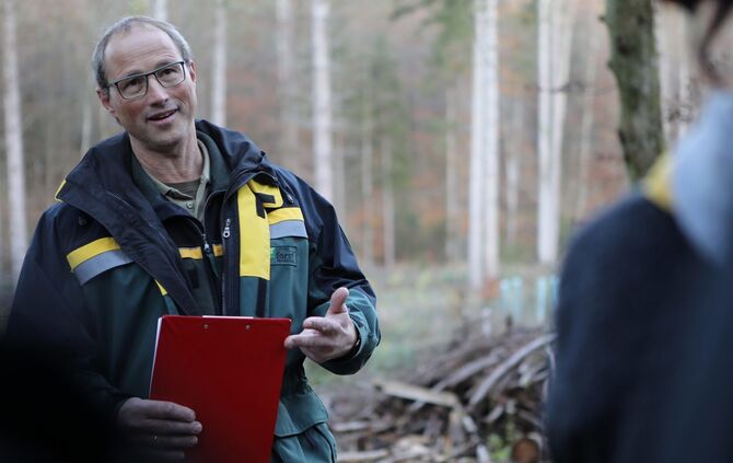 Wald Urbach Klimawandel_0