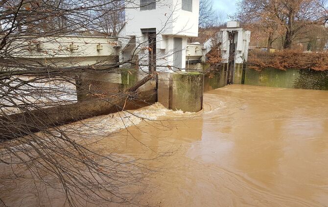 Leserfoto_Margot_Schröder_6