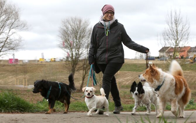 Hundetrainerin Sonja Rosenberger_0