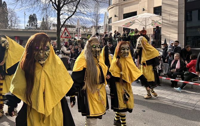 Faschingsumzug Stuttgart
