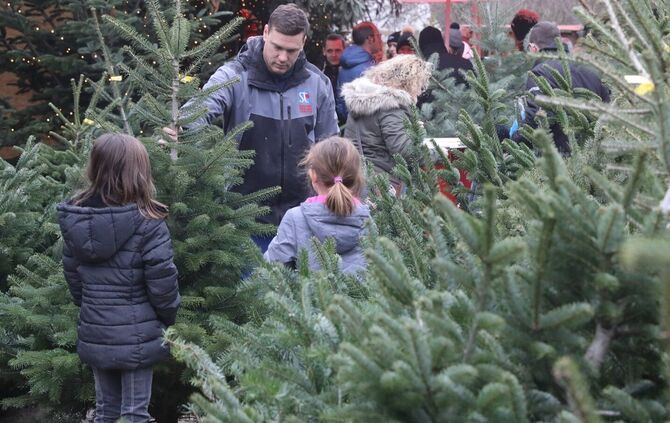 Was passiert mit den Christbäumen?_0